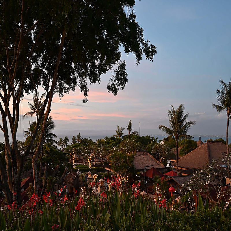 The Magic of Travel Photography