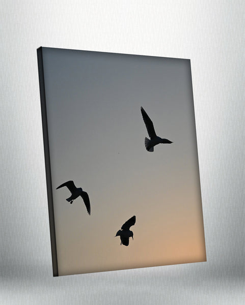 Birds 3 (Canvas)