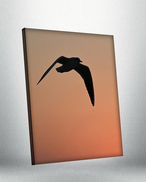 Birds 2 (Canvas)