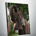 Elephant (Canvas)